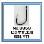 No.6853 ヒラマサ,太地,環付