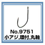 No.9751 小アジ環付