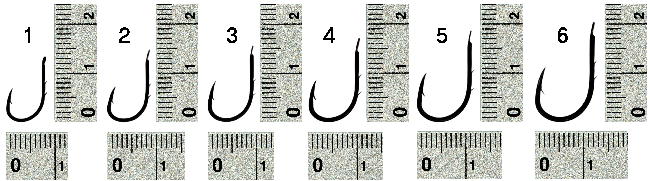 No.584 尾長ケン付