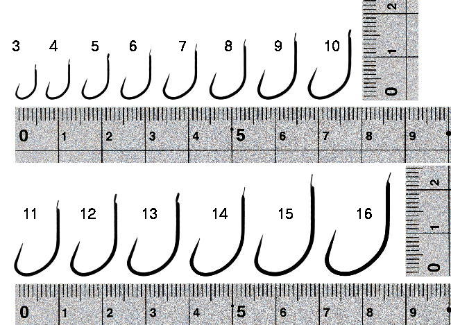 2283　鯉スレ　叩