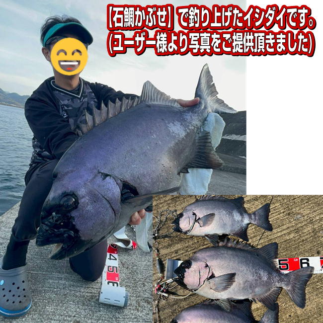 JH107 石鯛かぶせ　釣果