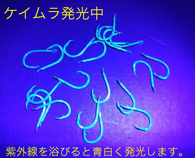 No.JH110　チヌ・ネムリ　ケイムラ発光